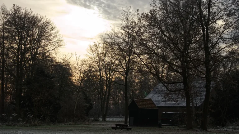Erben Wennemars in een landelijke omgeving in Overijssel