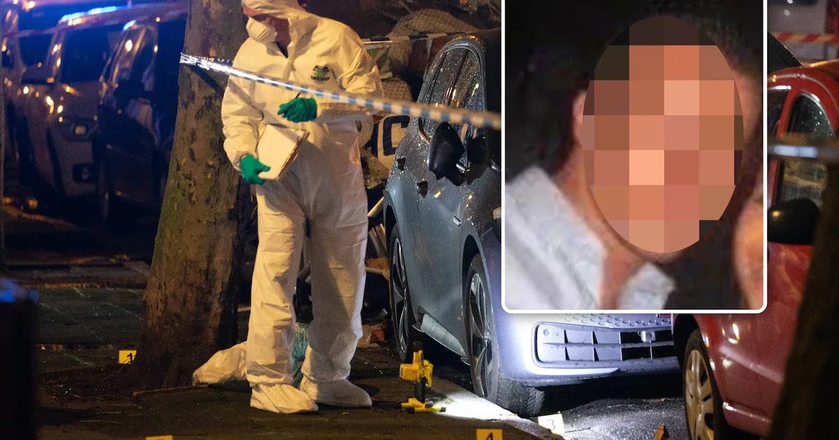 https://www.hln.be/antwerpen/van-bootsman-tot-link-met-bolle-jos-wie-is-drugscrimineel-xavier-p-die-opnieuw-doelwit-werd-van-explosies-in-antwerpen~ad813c26/